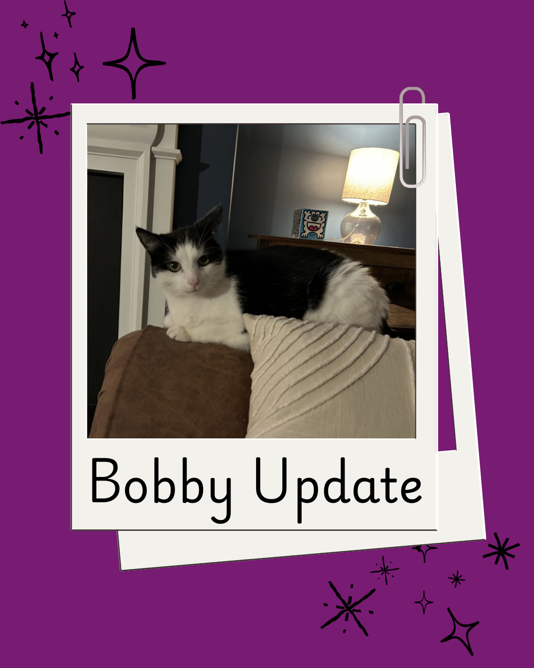 Bobby's Adoption Update - image 1